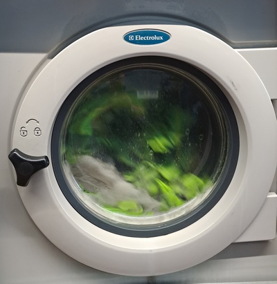 Gewerbe-WSM Electrolux W3240H, Bj. 2006 (3)…